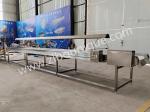 220v/ 380v Stainless Steel 304 Nut Selecting Conveyor Belt for Raisin Sorting