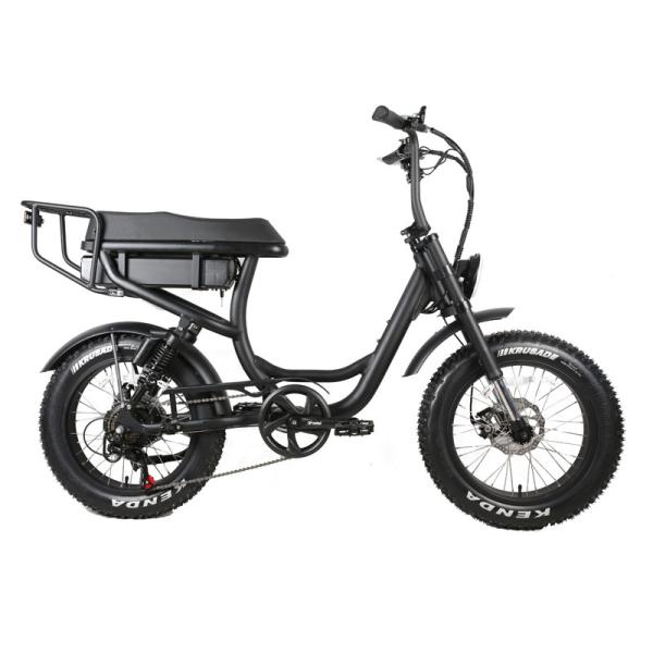 Aluminum Alloy 6061 Frame 2 Seat 500W 750W Off-road Step Through 20 inch Fat
