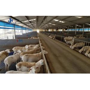 Wholesale Q345 Steel Structure Prefab Metal Building for Construction of Sheep and Goat Farm from china suppliers