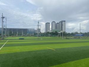 Wholesale 55mm Diamond Shape Football Artificial Turf Fake Soccer Grass from china suppliers