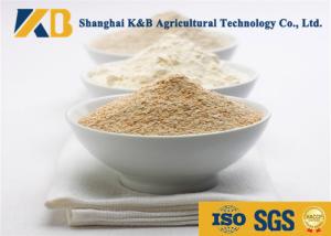 Wholesale Water - Soluble Nutribiotic Raw Organic Rice Protein Food Grade For Diet Meal from china suppliers