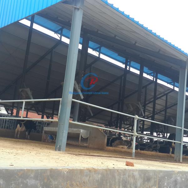 Industrial Prefabricated Steel Shed Construction Prefabricated Steel Farm Shed