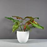 Nursery Fiberglass Resin Flower Pot Set For Succulent Garden Home Decor
