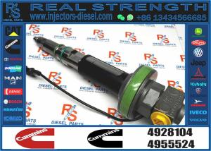 Wholesale 4964170 Diesel QSK19 Engine Common Rail Fuel Injector 4955524 2867149 4955527 2882079 4964173 from china suppliers
