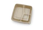 9 inch Outdoors Takeaway Food Containers Disposable Lunch Biodegradable