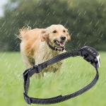 Innovative Control Pet Training Products No Bark Dog Training Shock Collars
