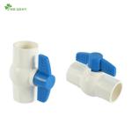 Samples US 1/Piece PVC Ball Valve DIN ANSI JIS BS Standard Anis Cns