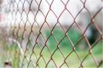 Colorful 9 Gauge 4mm Wire Chain Mesh Fencing