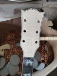 Custom Solid Handmade AAAAA Grade Flamed Maple Neck Doves Dreadnought Acoustic