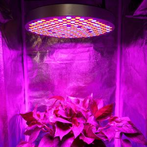 Wholesale SMD2835 Red Blue 289 Leds Dimmable Plant Growing Lamp from china suppliers