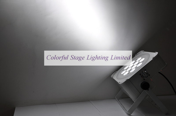 12X10W 4 in 1 Battery Powered and Wireless LED Par Can (7).JPG