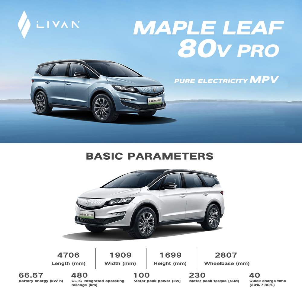 Geely Livan Modern Electric Car New Energy Vehicle with Ample Space for Family Travel Fast Charging for Group Rides