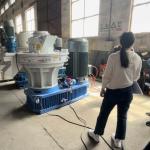 Wood Chip Biomass Briquetting Chaff Straw Biomass Fuel Production Equipment