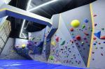 Max Capacity 100-500kg Bouldering Rock Climbing Walls Durable and Versatile for