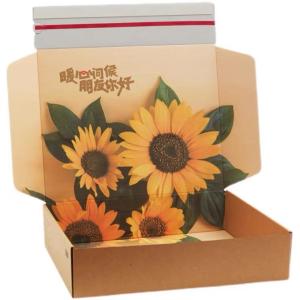Wholesale Hot Sale Custom Shipping Boxes Custom Logo Package Courier Box Delivery Corrugated Box from china suppliers