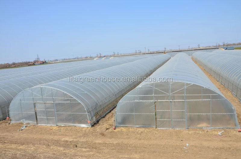 Greenhouse Plastic Sheet/PC Sheet Greenhouse with Stable Structure and Vents