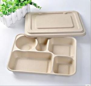 Wholesale Biodegradable Straw pulp 5 compartments food container paper food trays from china suppliers