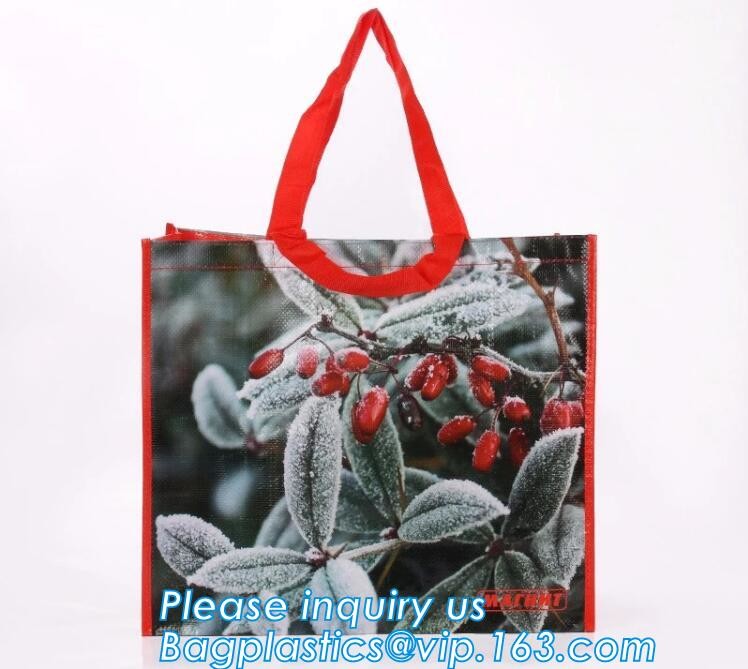 Promotional Cheap Polypropylene Die Cut Laminated TNT Tote PP Woven Shopping Bag,Europe Standard bopp Laminated China PP