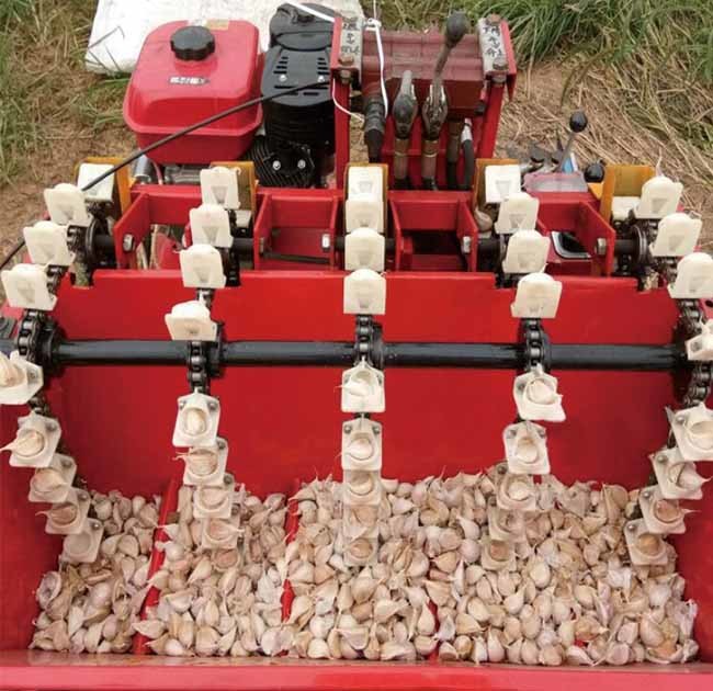 Red Automatic Garlic Planter , Garlic Planting Equipment 7 Or 5 Rows