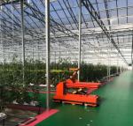 Commercial Greenhouse JX-h0075 Hydroponic Growing System for Vegetable