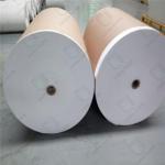 Odor Resistant Clay Coated Cupstock For Freshness Preserving Packaging
