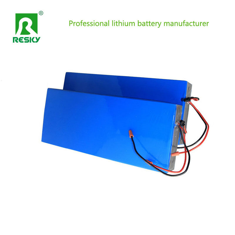 Rechargeable Electric Bike Battery 48V 8.8ah 350W E Scooter Lithium Battery Pack