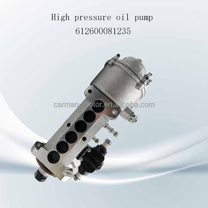 Fuel Injection Pump for WEICHAI WD618.375Q Engine Fuel System Performance Boost
