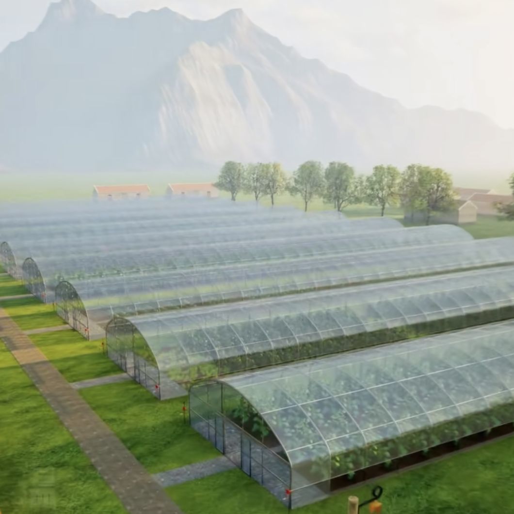 Cheap Tunnel Greenhouse Hydroponics Growing System
