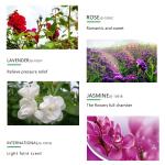 OEM Sterilizing Car Automotive Air Freshener Spray Long Lasting Floral Fragrance