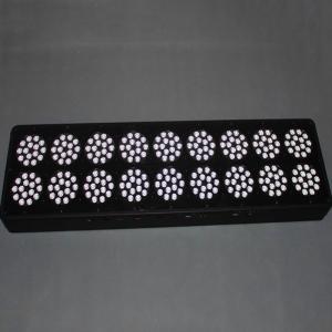 Wholesale 2014 new design high power Red:Blue=8:1 810w black star led grow light from china suppliers