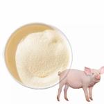 Bacterial Ferment Poultry Protein Supplement For Livestock, Poultry, Pets
