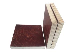 Wholesale First Class Pine Faced Plywood E1 Formaldehyde Emission Standards 915mm*1830mm from china suppliers