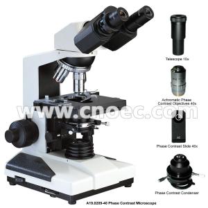 Wholesale Phase Contrast Microscope from china suppliers