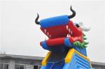Adult Inflatable Water Slide