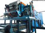 Egg tray plant(FC-ZMG3-24)