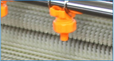 Automatic Roller Brush Nuts Soybean Potato Ginger Carrot Peeling Machine SGS