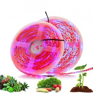 Wholesale DC12V DIY Red Blue 3:1 4:1 5:1 Led Mood Light 12V Grow Light Strips For Plants from china suppliers