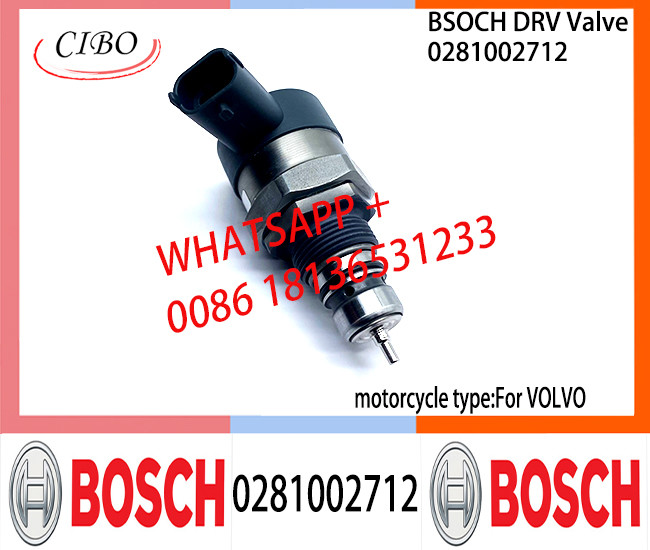 BOSCH DRV Valve 0281002712 Control Valve 0281002712 For VOL