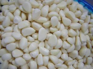 Wholesale Salted galic from china suppliers