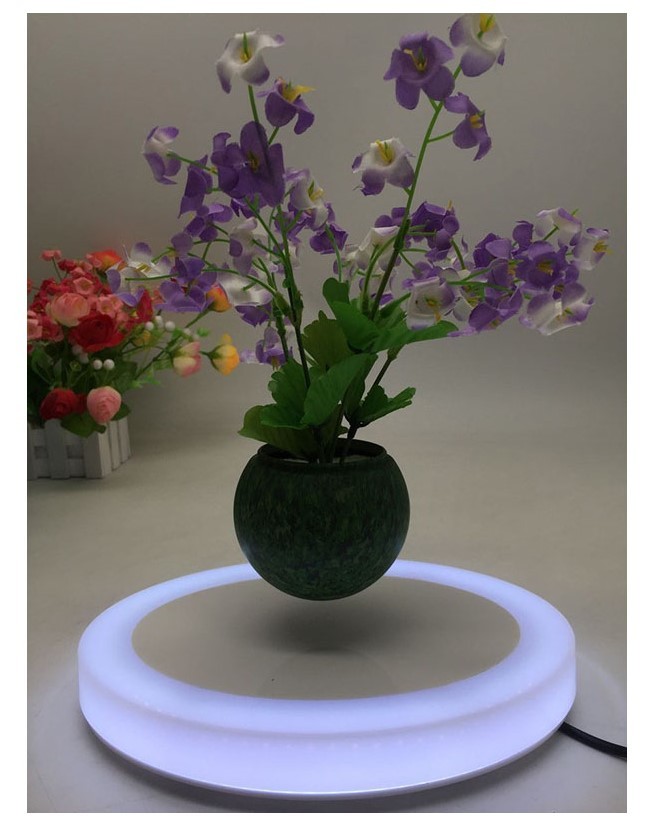 colorful led light magnetic levitation floating air bonsai plant tree flowerpotted