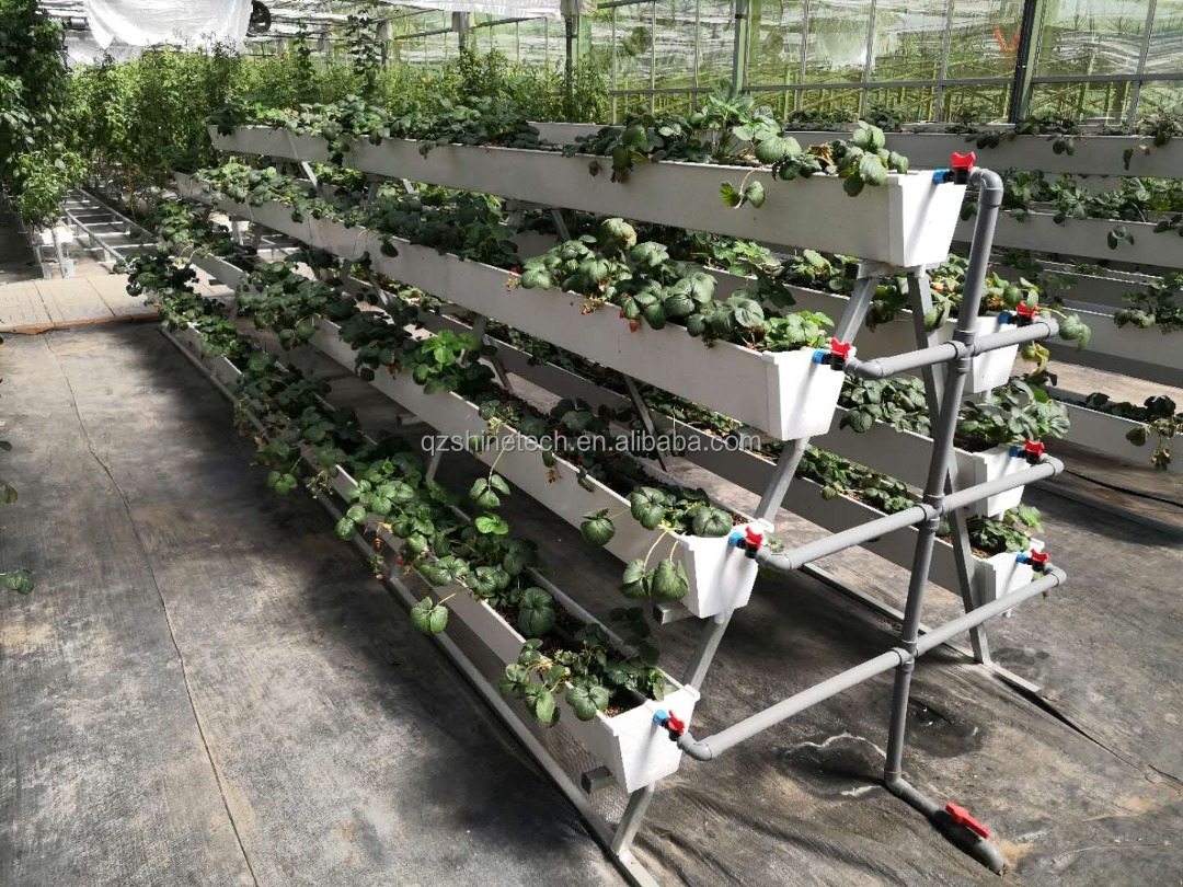 Hydroponic Planting Gutter For Growing Chili Pepper Cucumber And Strawberry