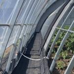 Initial Payment Commercial Greenhouse for Sunlight Flower and Vegetable