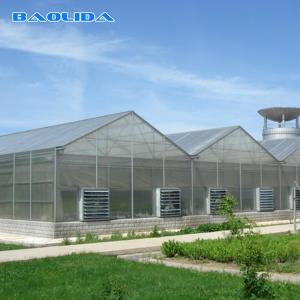 Wholesale Hydroponics Polyethylene Film Greenhouse Strawberry Multispan Greenhouse from china suppliers