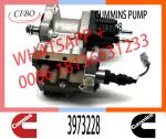 6745-71-1170 6745-71-1010 3973228 4954200 PC300-8 Engine SAA6d114 Qsc Excavator