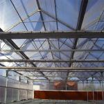 Vegetable Fruits And Flowers Multi Span Agricultural Greenhouse With Tempered