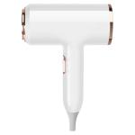Customizable Hair Dryer with 200 Million Negative Ions and 21000RPM Brushless DC