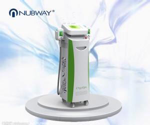 Wholesale well-know cryolipolysis body slimming machine for a slimmer you from china suppliers