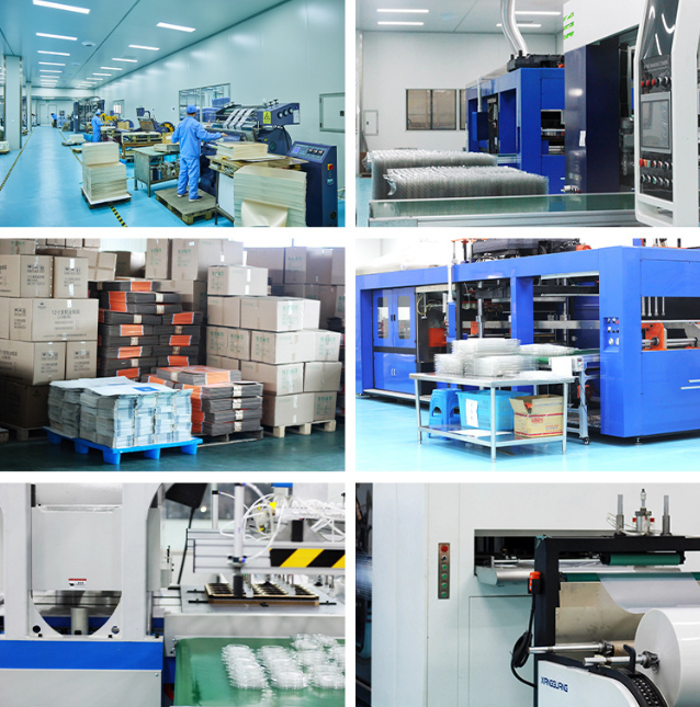 9 Slot Transparent Egg Packaging Tray With Custom Logo Printing For Free Range Egg Packaging