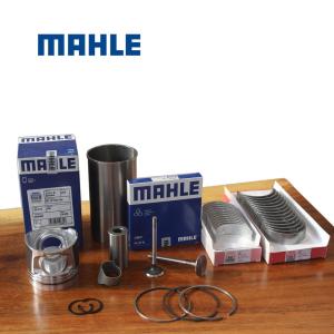 Wholesale Mahle D6D D6E Overhaul Parts 385-1657 2129-1110 For VOLVO EC210 Excavator from china suppliers