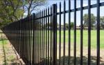 Black powder coated spear top galvanised tubular metal fence